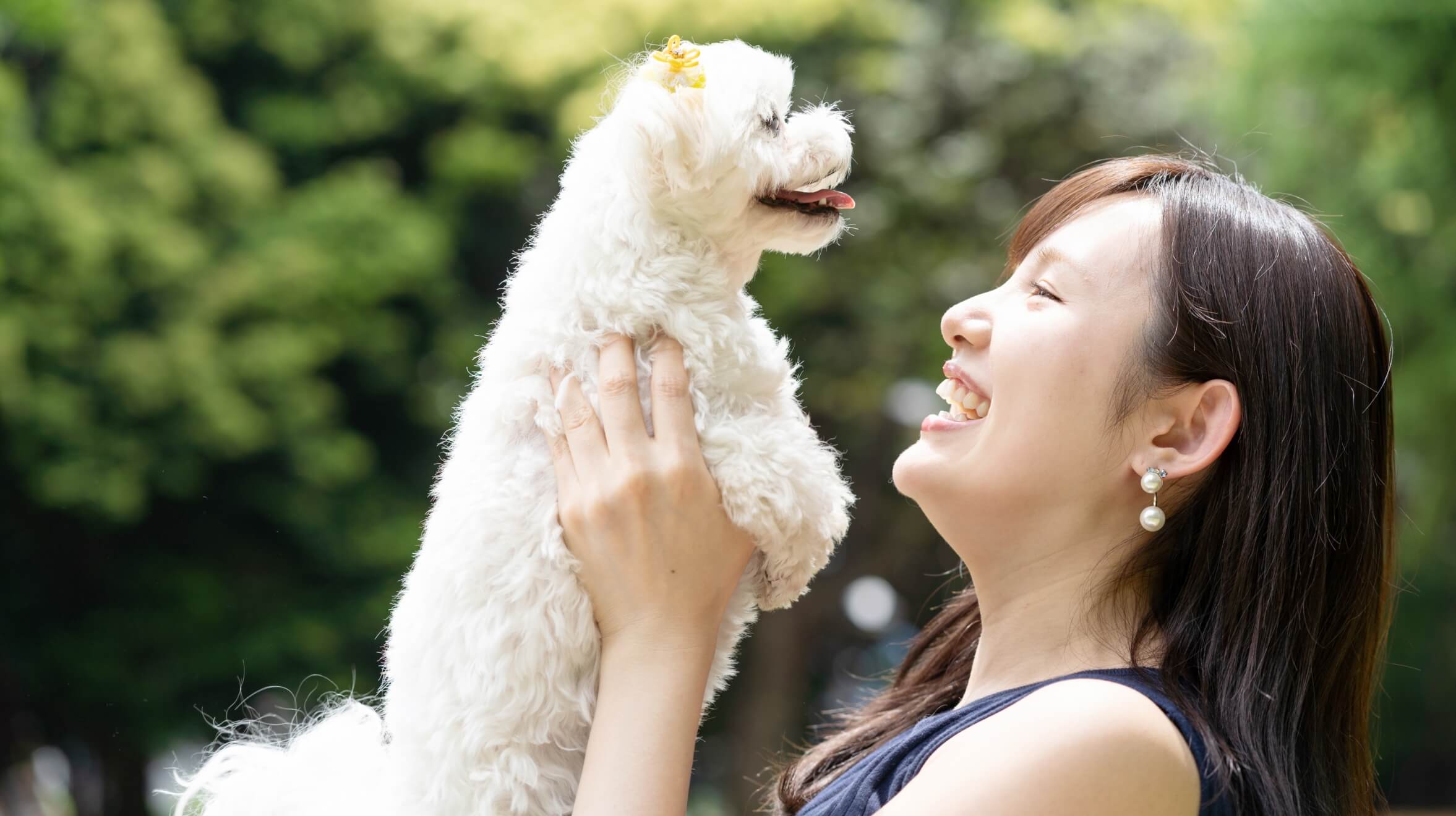 犬を抱き上げる女性