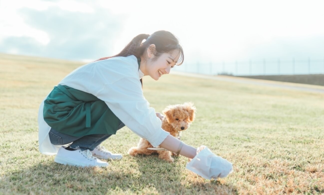 散歩する犬と飼い主